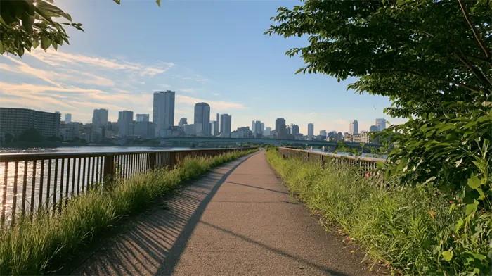 近所の散歩道
